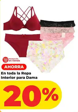 HEB Ropa Interior para Dama oferta