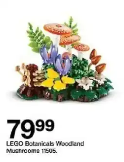 Target LEGO Botanicals Woodland Mushrooms oferta