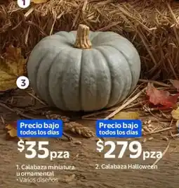 Walmart Express Calabaza miniatura u ornamental oferta
