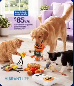 Walmart Express Vibrant Life variedad de juguetes para mascota oferta