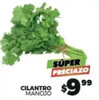 Merco Cilantro oferta