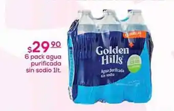 Golden hills - agua purificada sin sodio