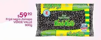Verde valle - frijol negro jamapa