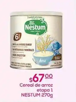 Nestum - cereal de arroz