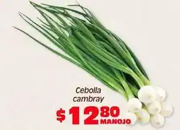 Soriana Híper Cebolla cambray oferta