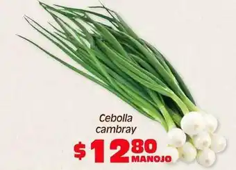 Soriana Híper Cebolla cambray oferta