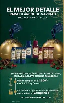 Yves Rocher Yves Rocher El Mejor Detalle Para Tu Árbol De Navidad oferta