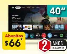 El Bodegón Abonitos oferta
