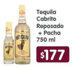 Arteli Tequila Cabrito Reposado + Pacha oferta