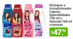 Arteli Caprice Shampoo o Acondicionador oferta