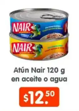 Arteli Atún Nair oferta