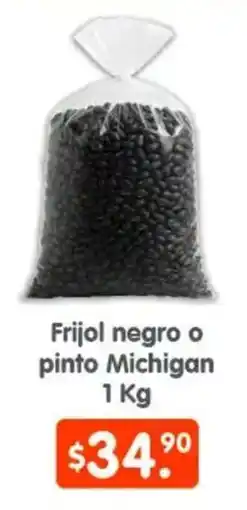 Arteli Frijol negro o pinto michigan oferta