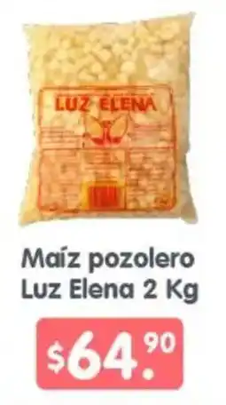Arteli Luz Elena Maíz pozolero oferta