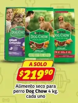 Soriana Express Dog Chow oferta