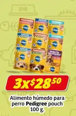 Soriana Express Pedigree Alimento húmedo para perro oferta