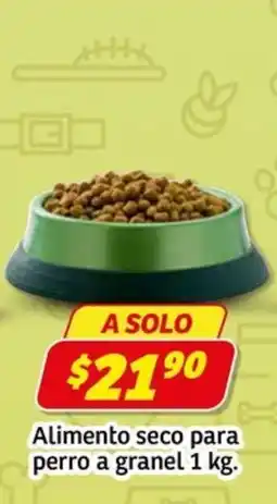 Soriana Express Alimento seco para perro oferta
