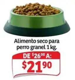 Soriana Mercado Alimento seco para perro granel oferta