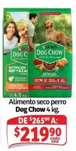 Soriana Mercado Dog Chow Alimento seco perro oferta