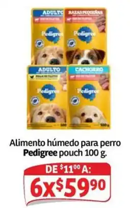 Soriana Mercado Pedigree Alimento húmedo para perro oferta