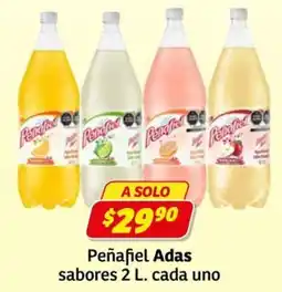 Soriana Express Peñafiel Adas oferta