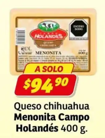 Holandes Queso chihuahua Menonita Campo