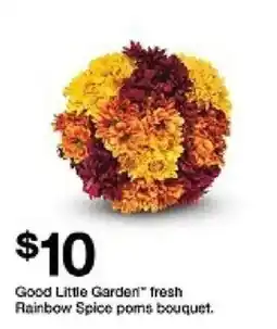 Target Good Little Garden fresh Rainbow Spice poms bouquet oferta