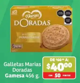 Galletas Marias Doradas