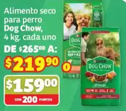 Soriana Híper Dog Chow oferta