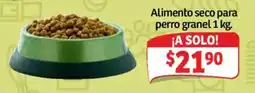 Soriana Híper Alimento seco para perro granel oferta