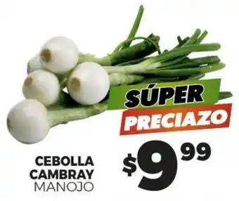 Cebolla cambray manojo