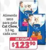 Soriana Híper Cat chow - alimento seco para gato oferta