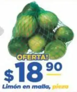 Super Gutiérrez Limón en malla oferta
