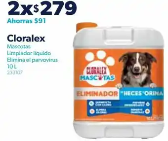 Sam's Club Cloralex Mascotas Limpiador Líquido Elimina el Parvovirus 2x10L oferta