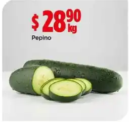 Bodega Aurrerá Pepino oferta