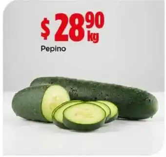Pepino
