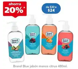 Farmacia San Pablo Brand Blue jabón manos citrus oferta