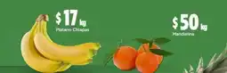 Bodega Aurrerá Plátano chiapas oferta