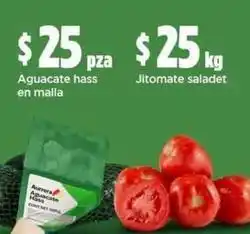 Bodega Aurrerá Aurrera - aguacate hass, jitomate saladet oferta