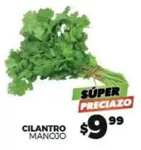 Merco Cilantro manojo oferta