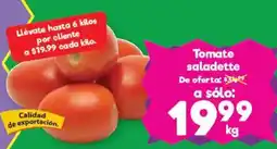 S-Mart Tomate saladette oferta