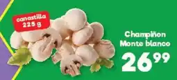 S-Mart Champion Monte blanco oferta