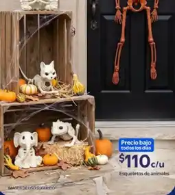Walmart Esqueletos de animales oferta