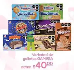 Fresko galletas gamesa oferta