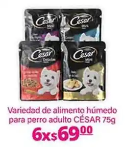 La Comer César variedad de alimento húmedo para perro adulto oferta