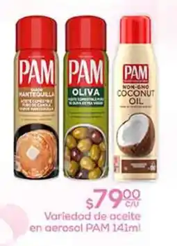 Fresko Pam variedad de aceite en aerosol oferta