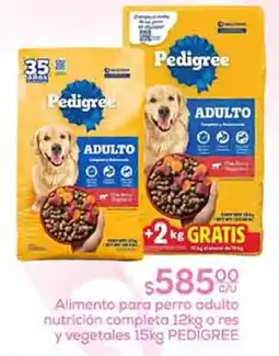 Fresko Pedigree Alimento para perro adulto oferta
