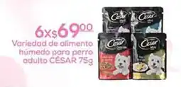 Fresko César variedad de alimento húmedo para perro adulto oferta