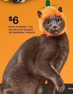 Target Boots & Barkley one size fits most pumpkin cat headpiece costume oferta