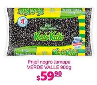 Verde Valle Frijol negro Jamapa