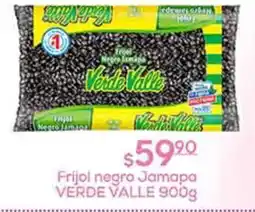 Fresko Verde Valle Frijol negro Jamapa oferta